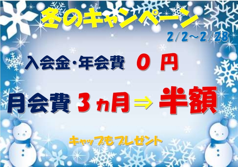 冬のキャンペーンJPEG