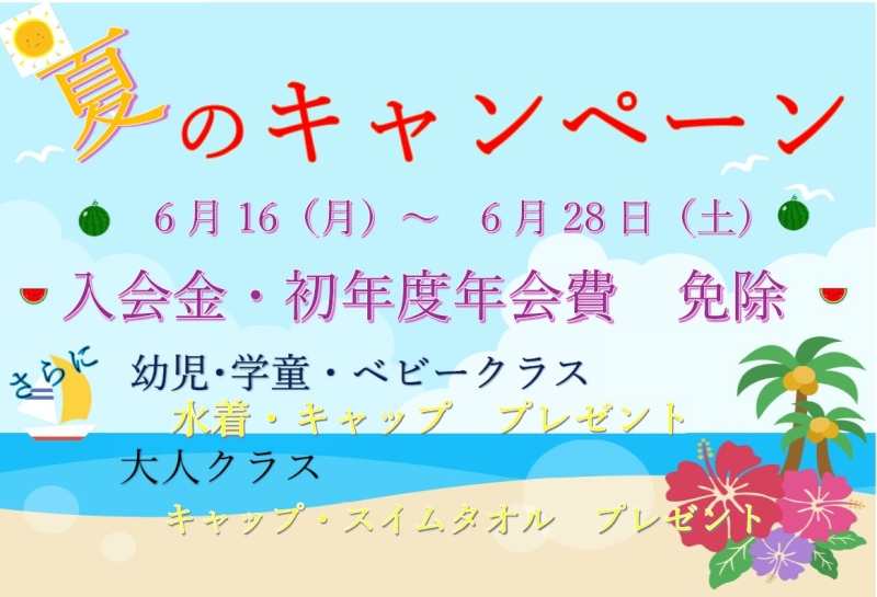 夏のキャンペーン