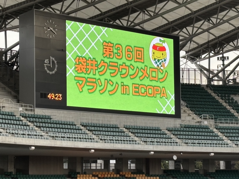 556